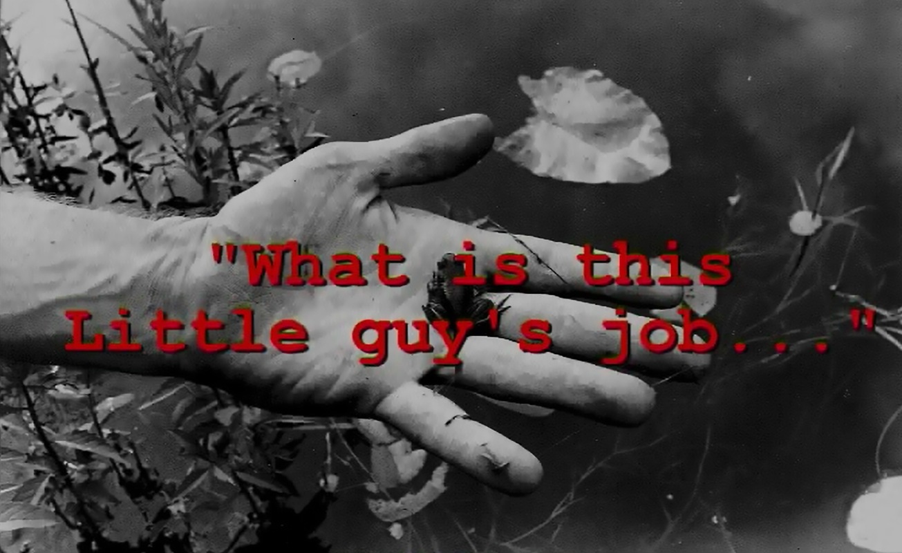 David Wojnarowicz - Waht is this Little Guy's Job (in collaboration with Marion Scemama)
